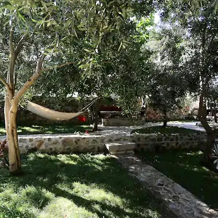 Family Friendly House With A Swimming Pool Zdrelac, Pasman - 27571